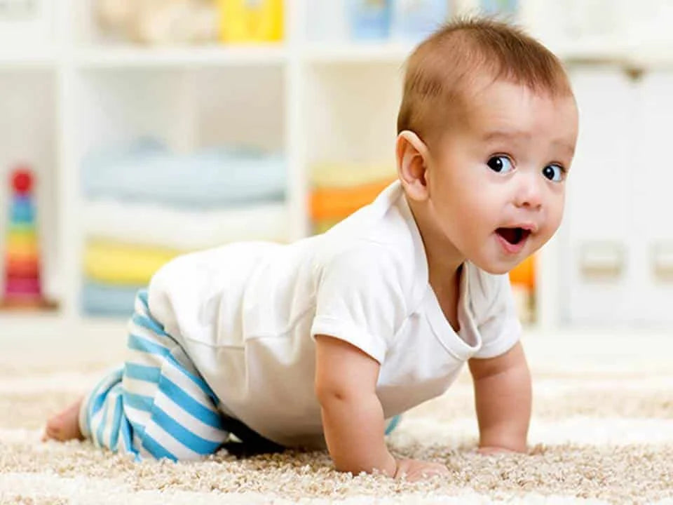 Bebés 6–9 meses: guía de hitos y actividades