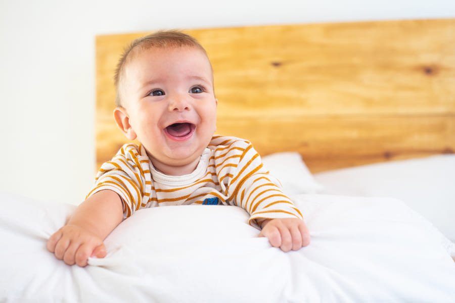 Brote de crecimiento 3 meses ¿Qué hacer?