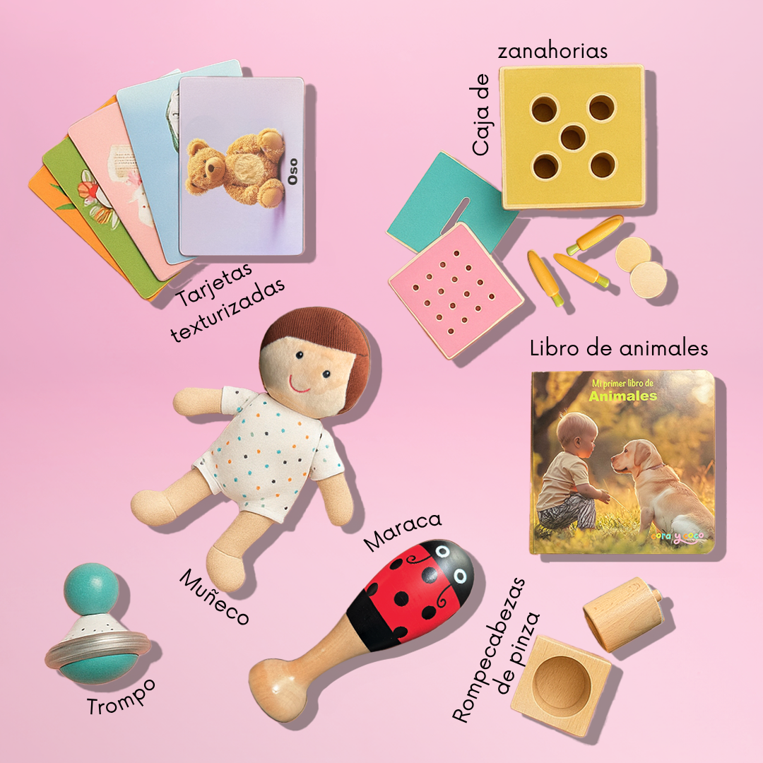 Kit 4: Primeras Habilidades (9 a 12 meses)