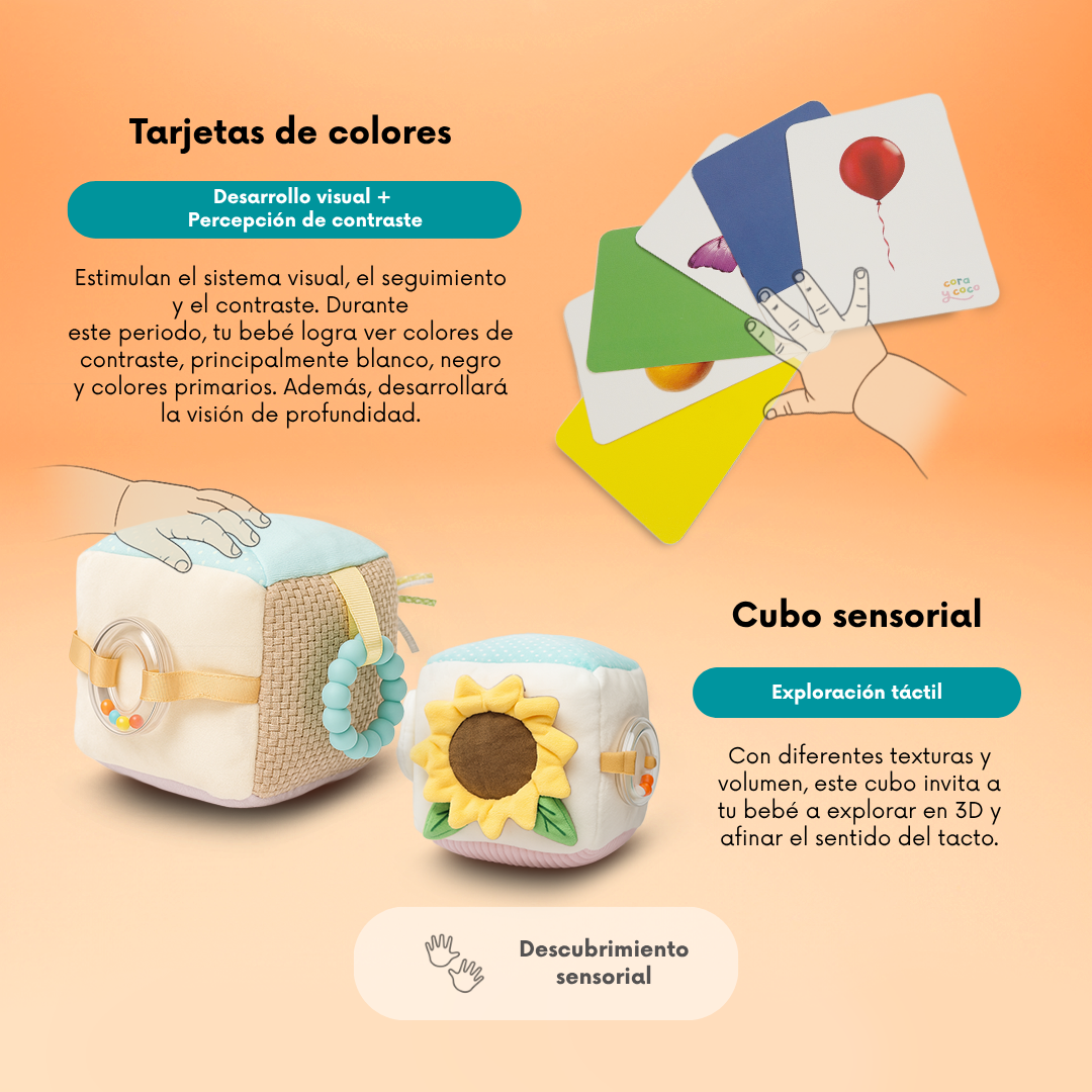 Kit 2: Exploración Activa (3 a 6 meses)