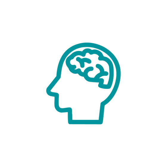 Desarrollo cognitivo